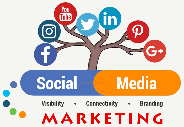 Social Media Marketing Company in Udaipur,